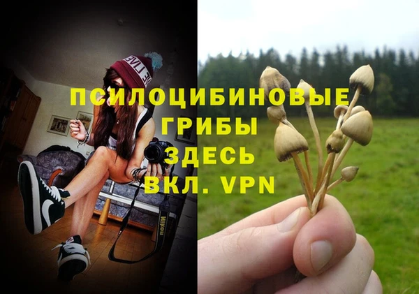 соль ск Строитель