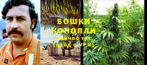 соль ск Строитель